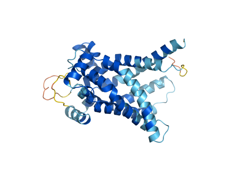 AlphaFold predicted structure of ODC2