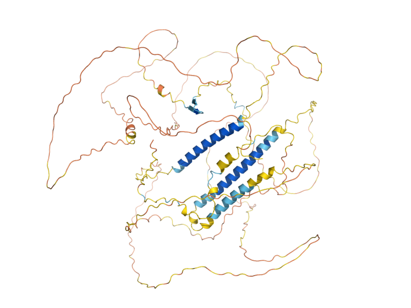 AlphaFold predicted structure of AIM44
