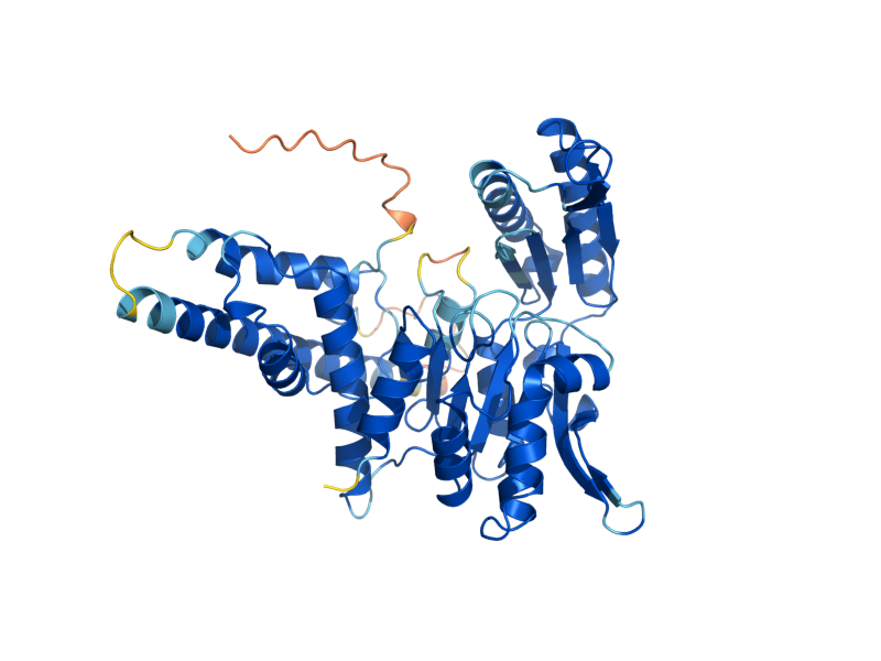 AlphaFold predicted structure of ISN1