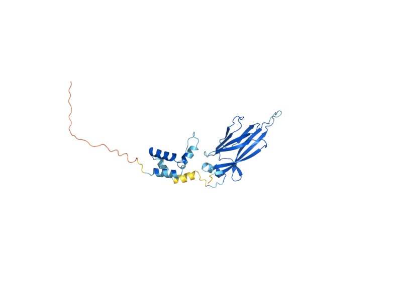 AlphaFold predicted structure of SAS5