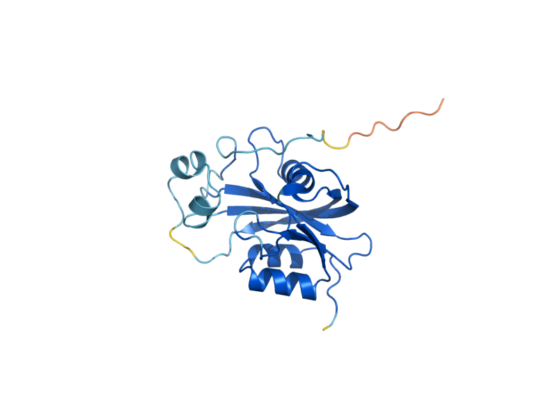 AlphaFold predicted structure of DDP1