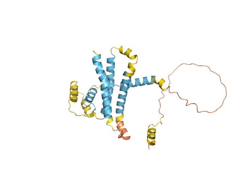 AlphaFold predicted structure of ATG40