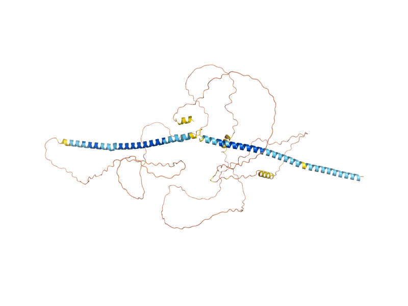 AlphaFold predicted structure of FRT1