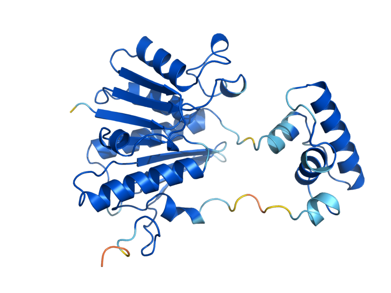 AlphaFold predicted structure of UBA3