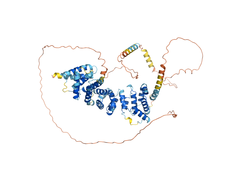 AlphaFold predicted structure of RAD61
