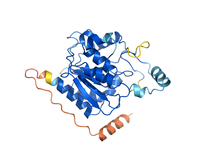 AlphaFold predicted structure of FSH3