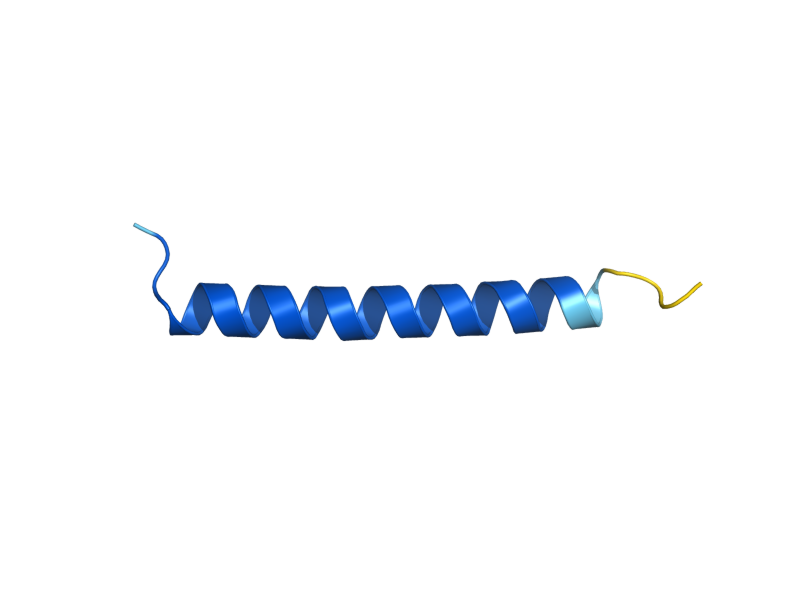 AlphaFold predicted structure of OST4