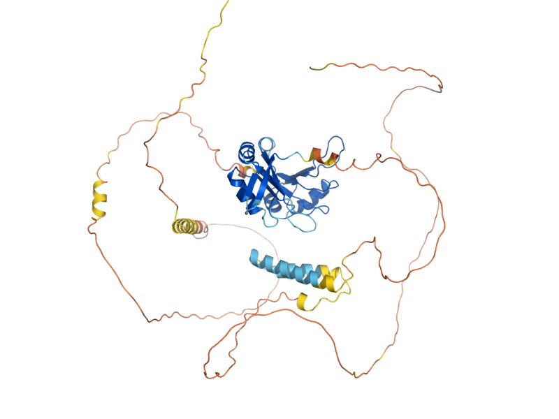 AlphaFold predicted structure of HRP1