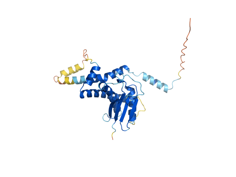 AlphaFold predicted structure of TRS33
