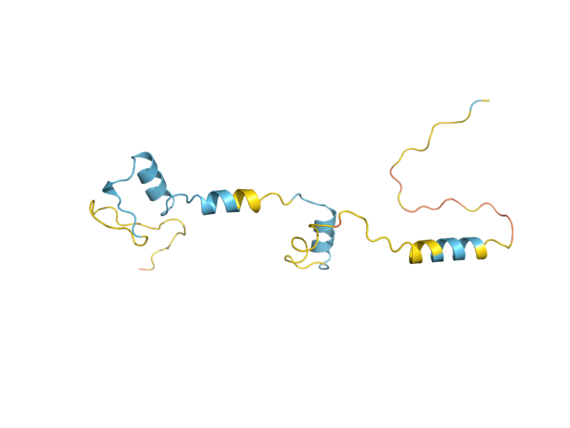AlphaFold predicted structure of IGO2