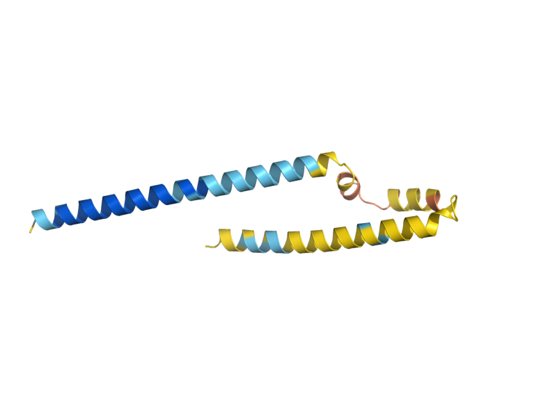 AlphaFold predicted structure of Q0144