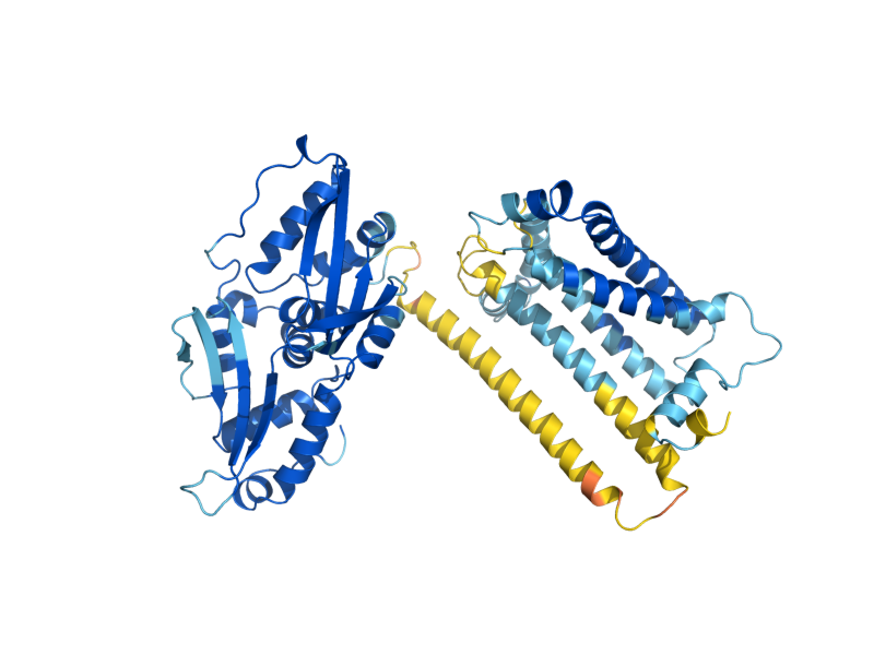 AlphaFold predicted structure of BI3